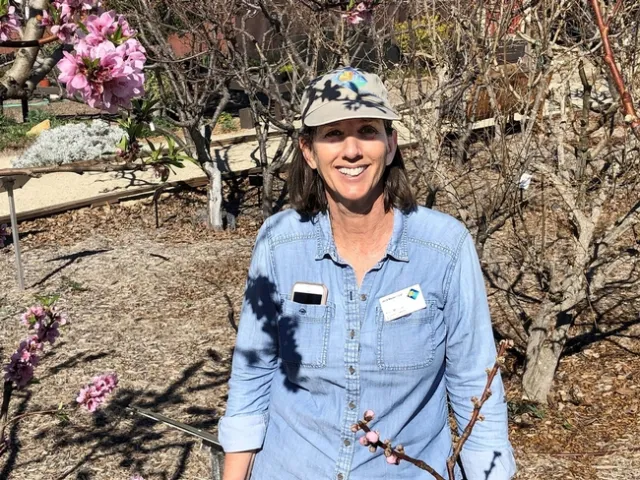 Photo by Jacqueline Shubitowski