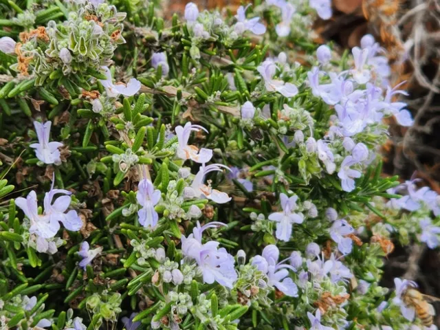 Photo by Polly Nelson