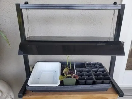 Photo of fluorescent light stand