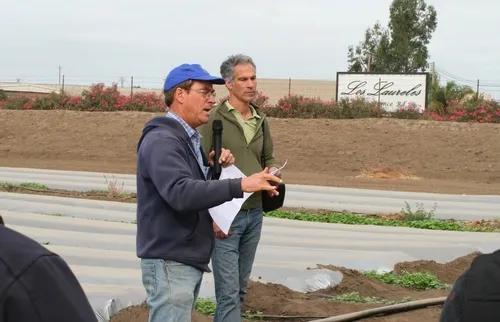 Behind Smith and Cahn are bedded rows covered in plastic mulch.