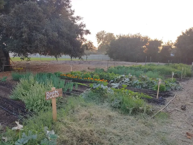 Local Community Garden