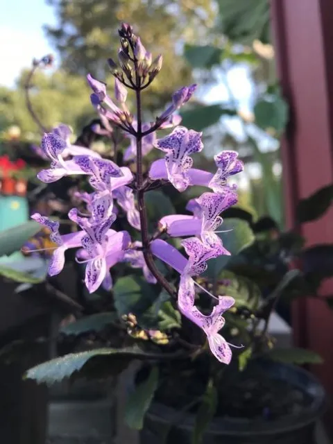 Photo by Andrea Peck