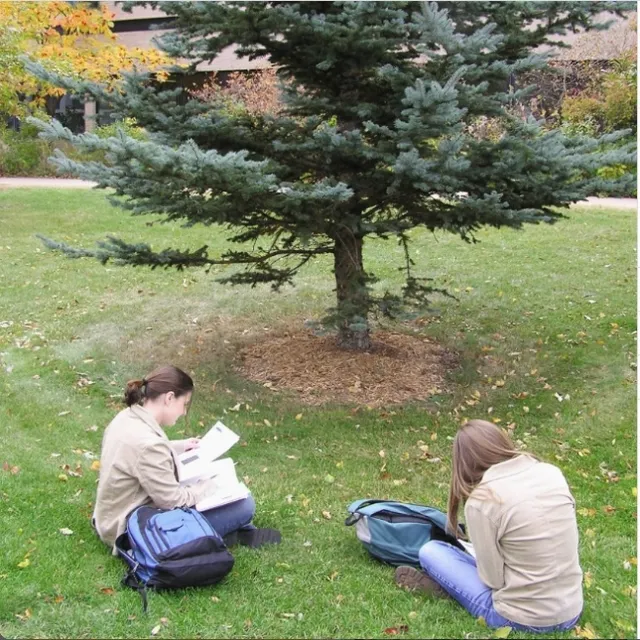 Students review Project Learning Tree curriculum.