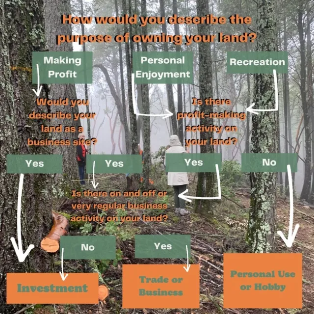 Tax Classification Chart