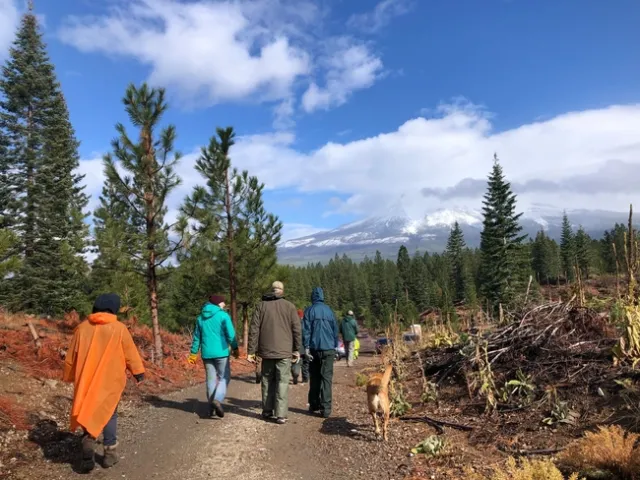 Forest Stewardship Workshop participants, Siskiyou field day.
