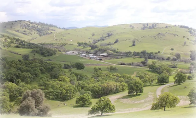 Screen Shot 2023-04-03 at 11.58.05 PM