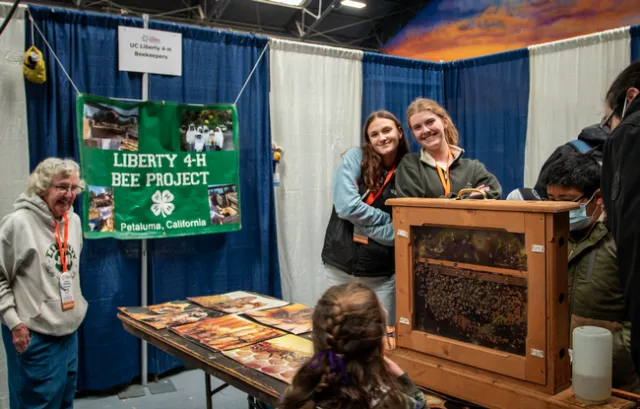 4-H bees. Photo by Diego Mariscal