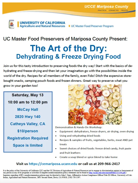 2023-05-13 The Art of Dry Flyer