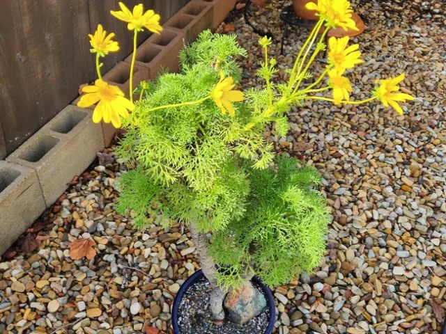 Photo by Polly Nelson