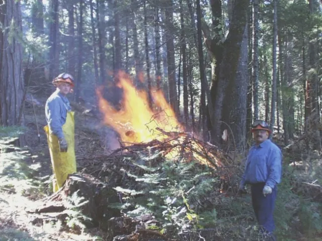 Burn pile, Blodgett Research Forest. Photo credit: Kim Ingram