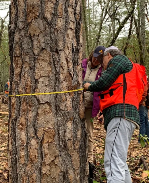 UCCE Forest Stewardship Workshop participants, Napa County. Photo credit: Kim Ingram