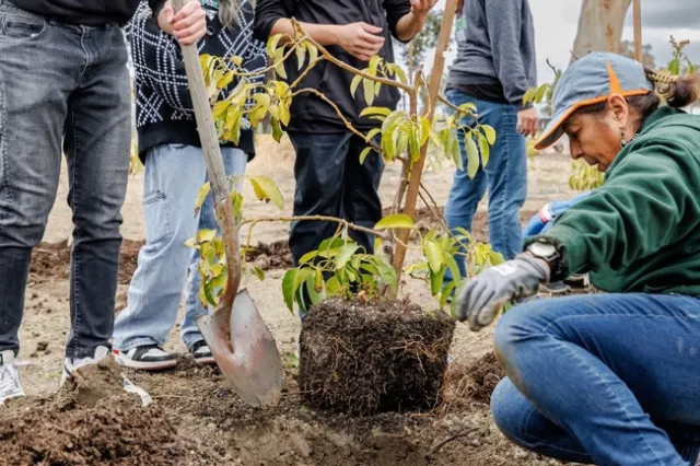 thumbnail image-Maria Guttierez-Garcia 12