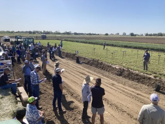 Davis Field Day 2022