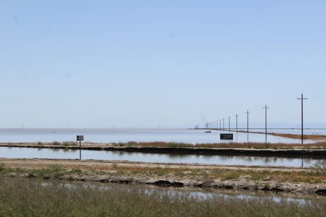 Flooded farm land for miles.