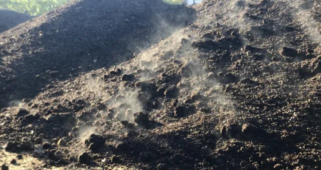 compost pile