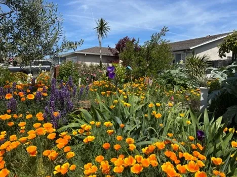 photos by Tina Saravia