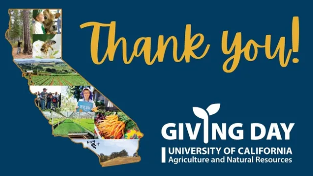 Giving Day Thank you!