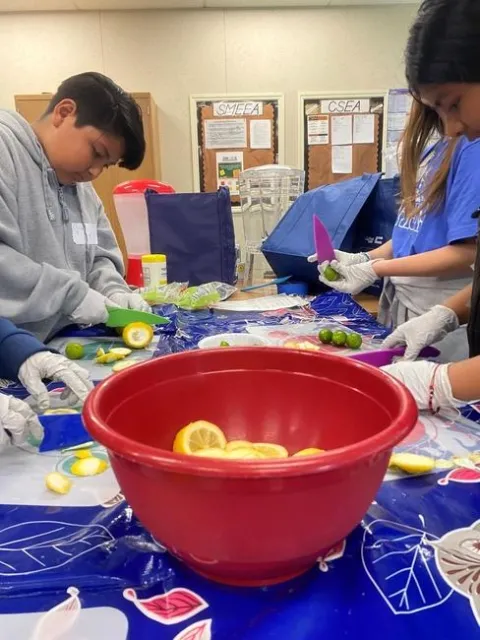 a bowl of sliced lemons and young people around a table preparing food