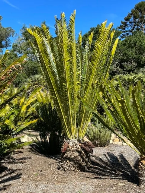 photos by Erin Mahaney