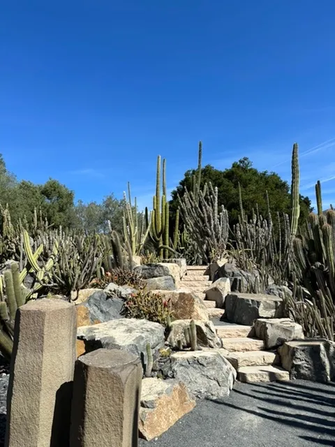 lotusland cactus emahaney 2023