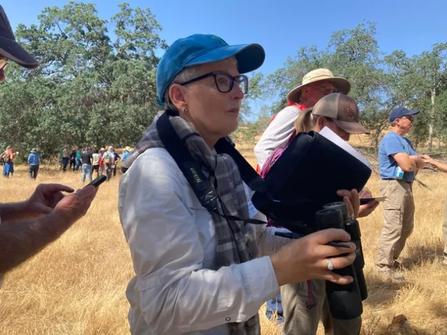 Beth Linder Carr listens to a presentation during the Blue Oak Field Day June 3