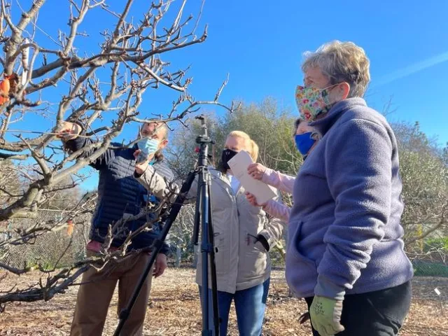 Four people gathered around a dormant fruit tree. A video camera is set up and ready to record.