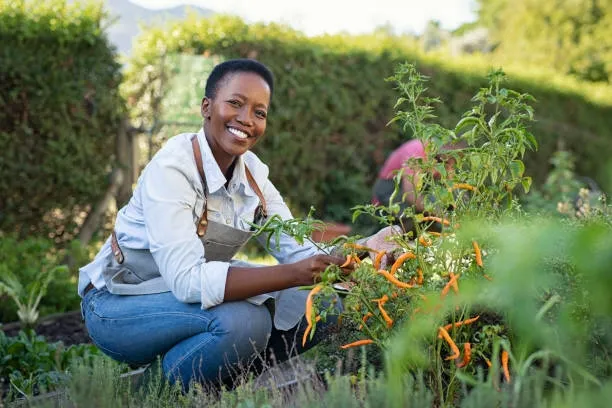 happy woman istock