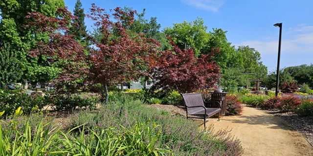 Enloe Medical Center Garden