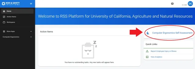 RSS Ergonomic Assessment Access