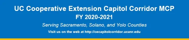 FY 2021 Annual Report