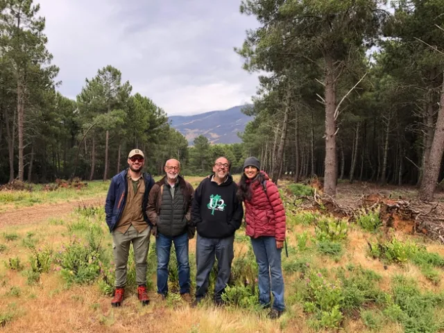 Visiting a fuel break. Adjacent pines have been thinned for resin collection. Members of the Mosaic Project Team and me. From Left to Right: Álvaro Gómez, Óscar Conejero, Fernando Pulido, and Devii Rao. Photo by Daniel George.