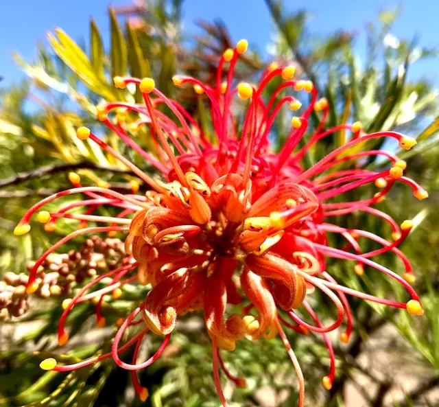 Photo by Megan Edwards