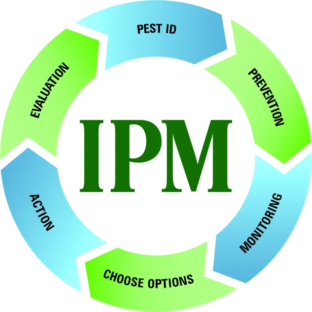 IPM Cycle