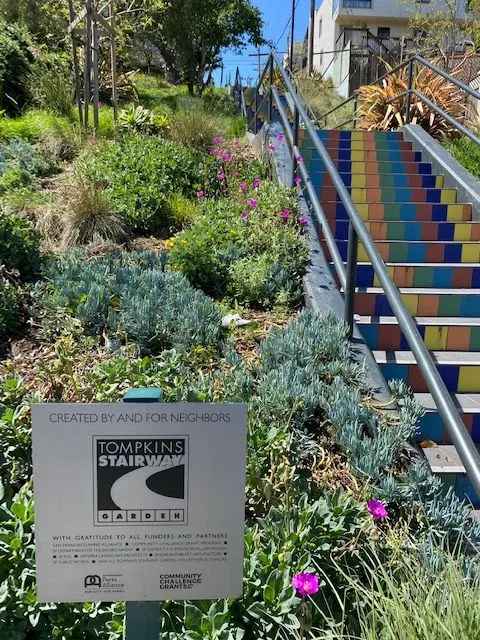 Susan_Patton-Fox_Tompkins_1