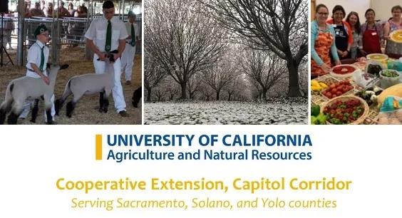 FY 2019 Annual Report 2