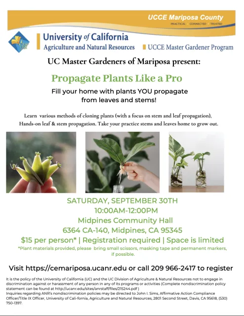 Propagate Like a Pro