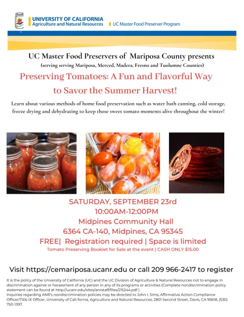Preserving Tomatoes workshop-Mariposa-JPEG