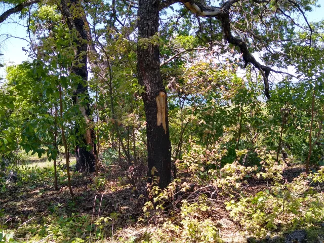 IMG_20230511_115432158_HDR