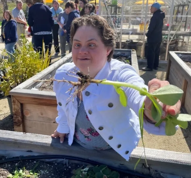 A person holding up a plant with roots showing