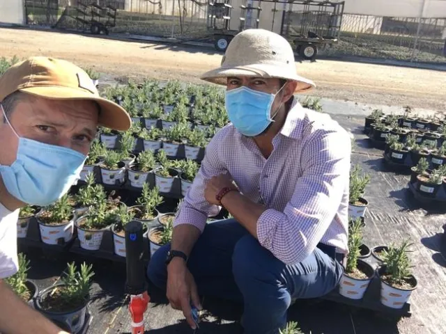 Two men hunched down in front of plants, posing for the camera wearing hats and face masks.