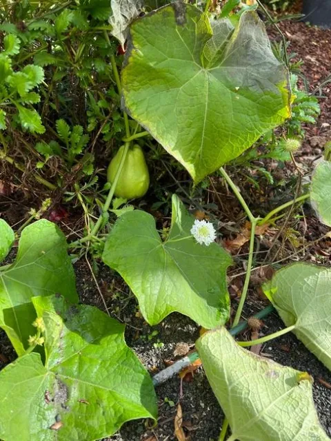 photos by Erin Mahaney