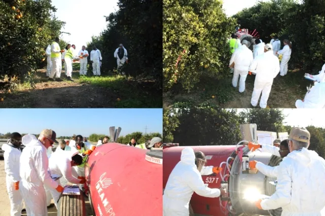 Participants engaging in hands-on exercises during the training