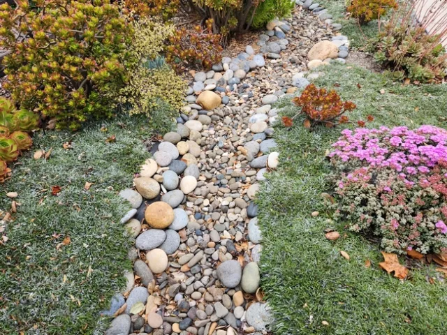 Photo by Polly Nelson