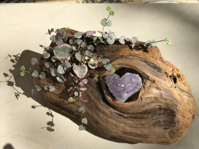 Photo by Megan Edwards