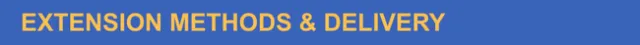 Extension Methods and Delivery
