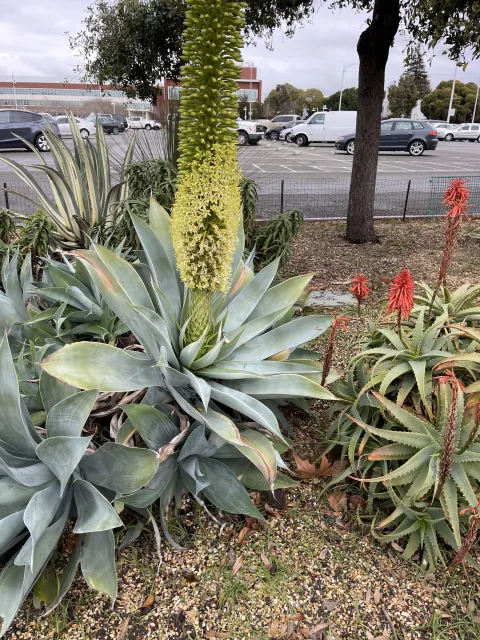 Photo courtesy of Dan Lent