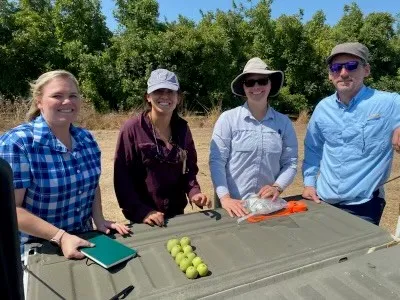 Farm Advisors Walnut Sampling 8.2023