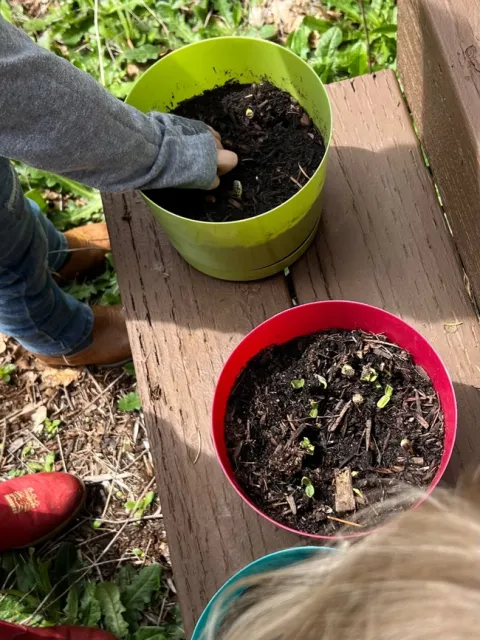 remaining photos by Amanda Spencer