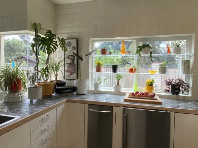 Small sized houseplants in a kitchen window.