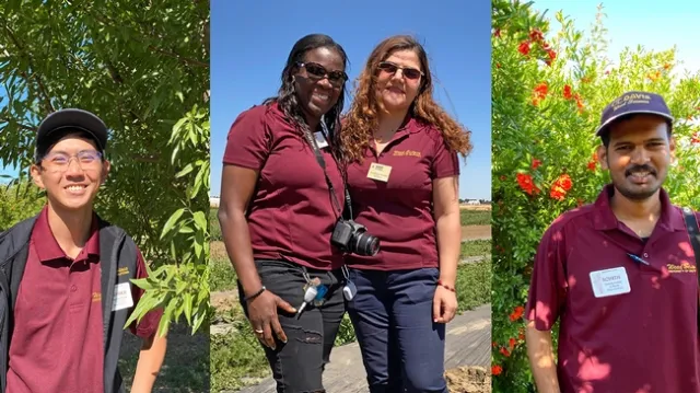 Among the student researchers and early career scientists who presented during Weed Day 2023 were master's degree student Stephen Chang; recent master's degree graduate Guelta Laguerre; postdoctoral scholar Pershang Hosseini; and postdoctoral scholar Rohith Vulchi; all in the UC Davis Department of Plant Sciences. (Trina Kleist/UC Davis)